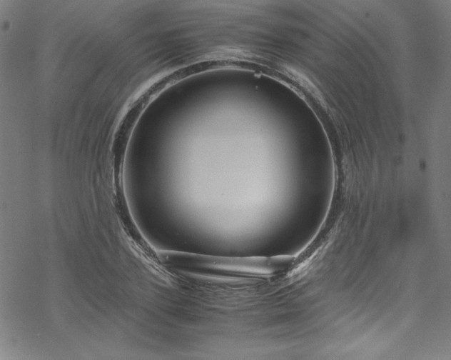 X0000070190931200606021053