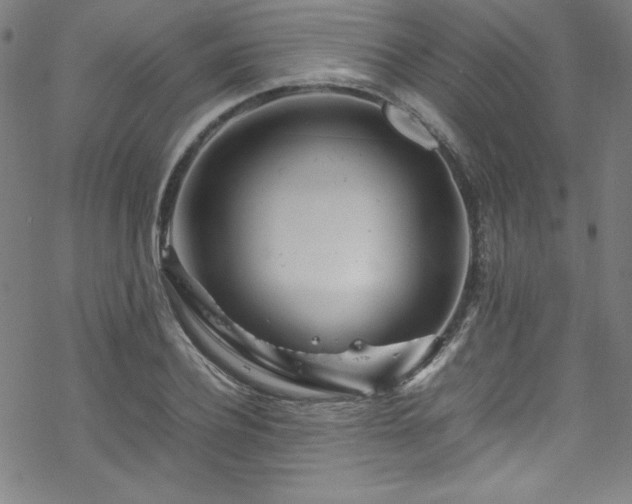 X0000070190932200606021053