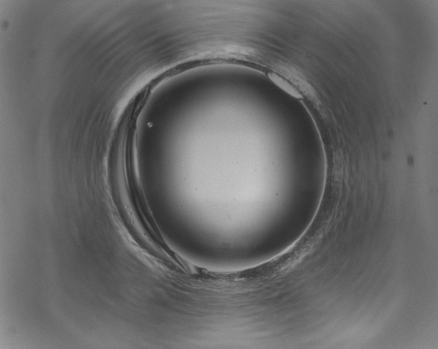 X0000070190936200606021054