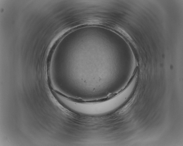 X0000070190939200606021054