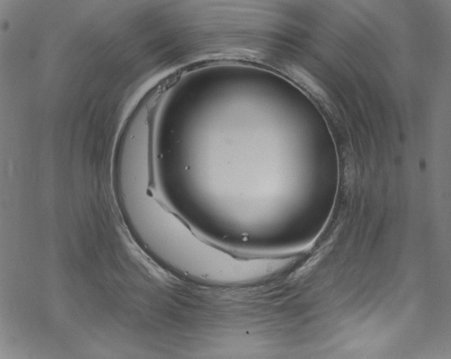 X0000070190940200606021054