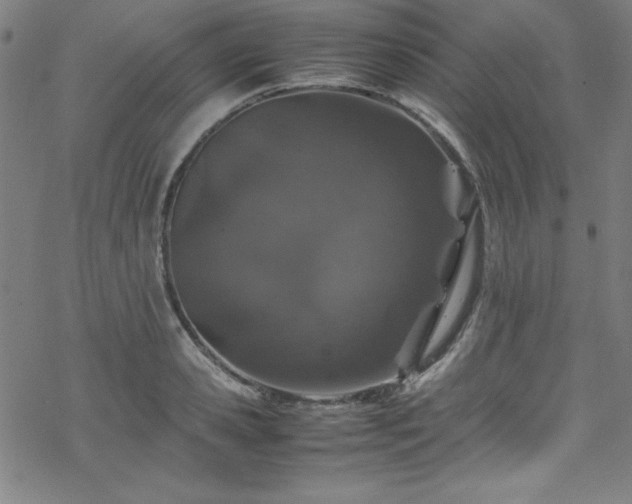 X0000070190941200606021054