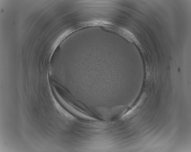 X0000070190946200606021054