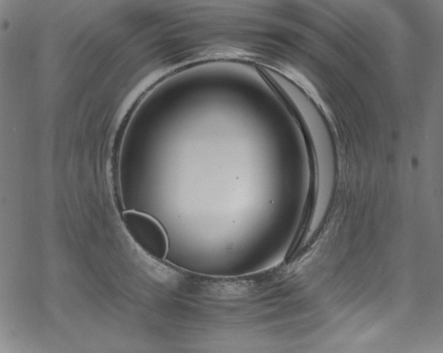 X0000070190947200606021054