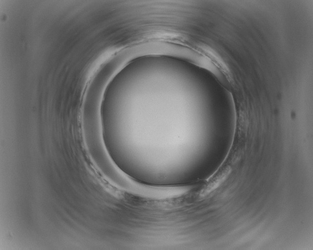 X0000070190948200606021054