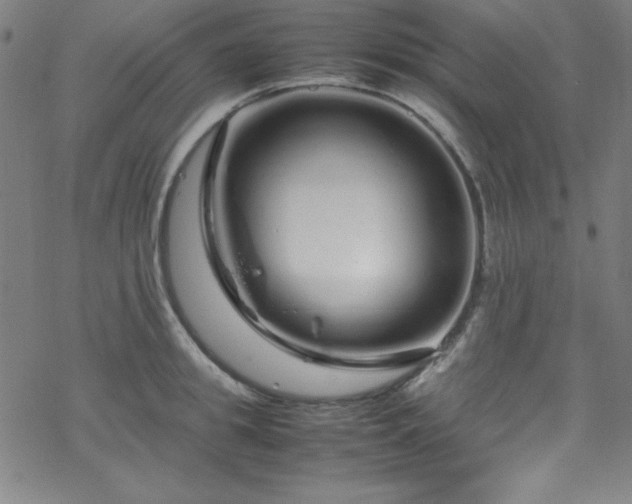 X0000070190949200606021054