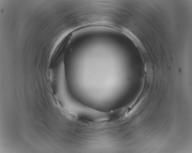 X0000070190956200606021054