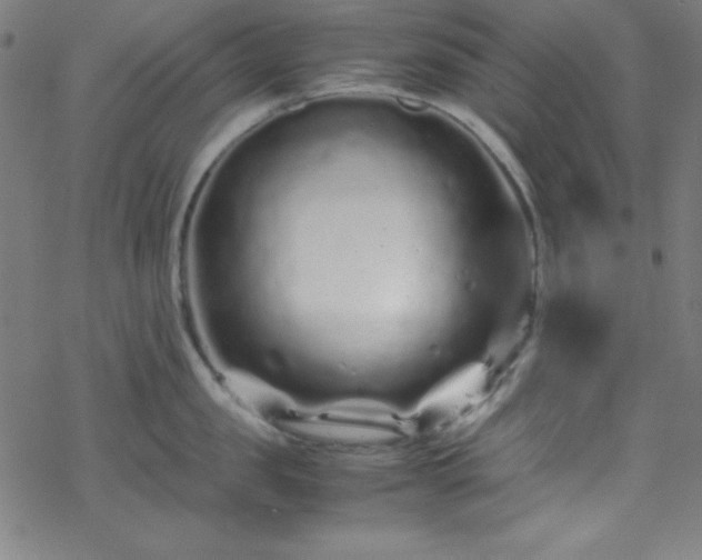 X0000070190957200606021054