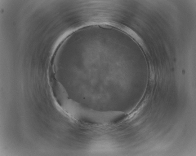 X0000070190958200606021054