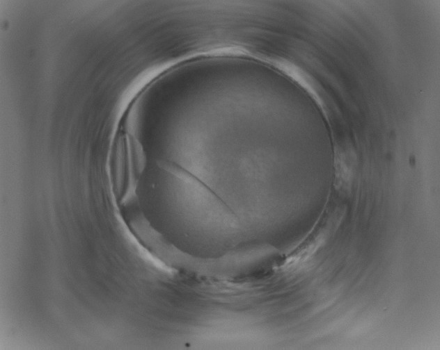 X0000070190959200606021054