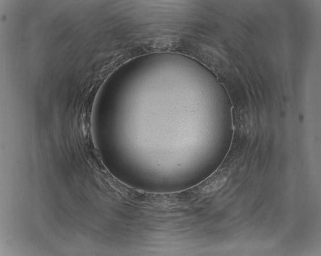 X0000070190962200606021053