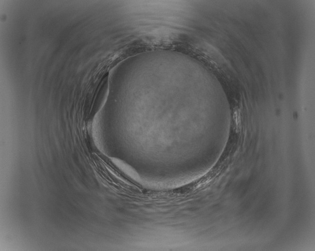 X0000070190963200606021053