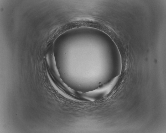 X0000070190965200606021053