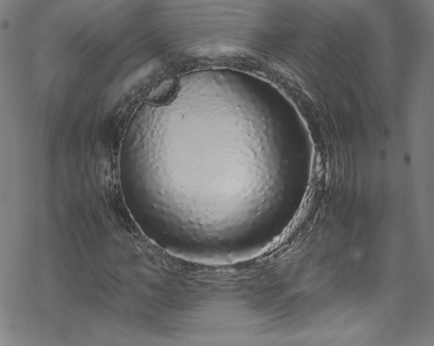 X0000070190966200606021053