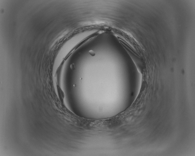 X0000070190967200606021053