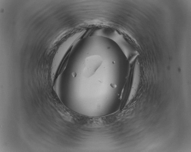 X0000070190968200606021053