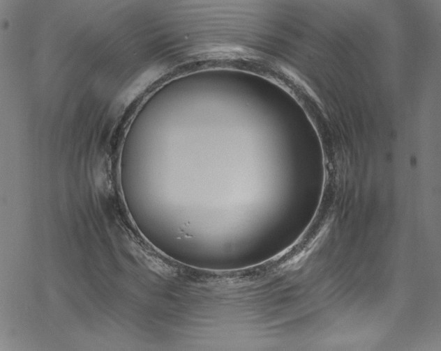 X0000070190970200606021053