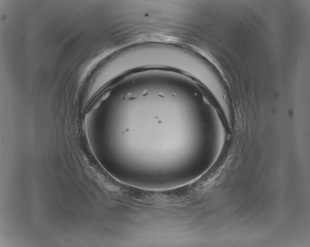 X0000070190971200606021053