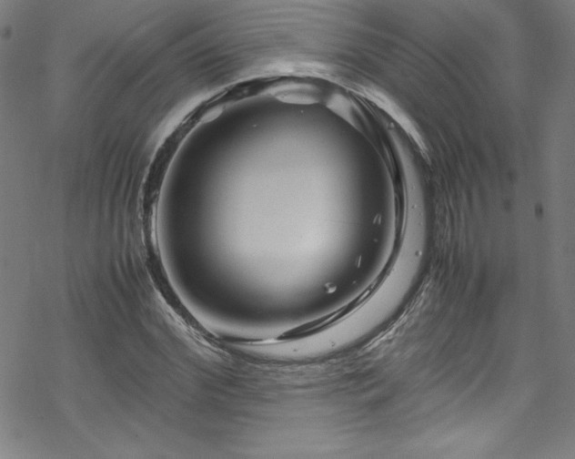 X0000070190972200606021053