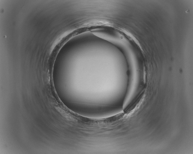 X0000070190973200606021053