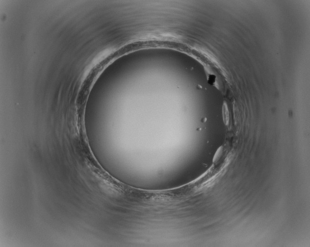 X0000070190974200606021053