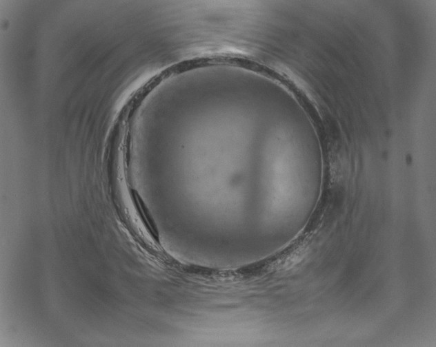 X0000070190975200606021053