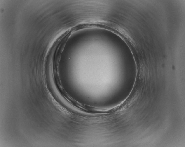 X0000070190976200606021053