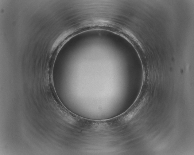 X0000070190978200606021053