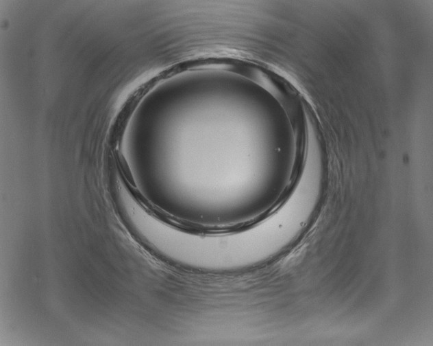 X0000070190979200606021053