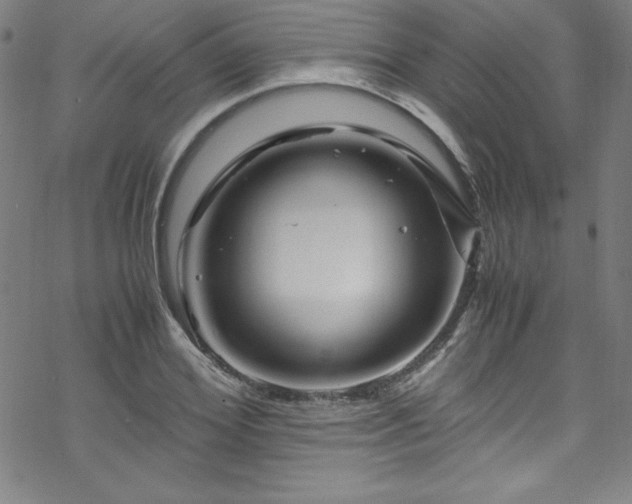 X0000070190980200606021053