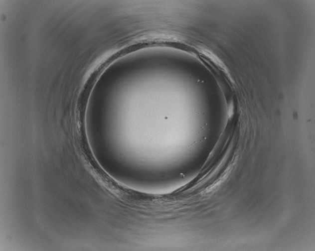 X0000070190981200606021053