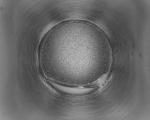 X0000070190982200606021053