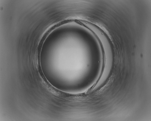 X0000070190984200606021053