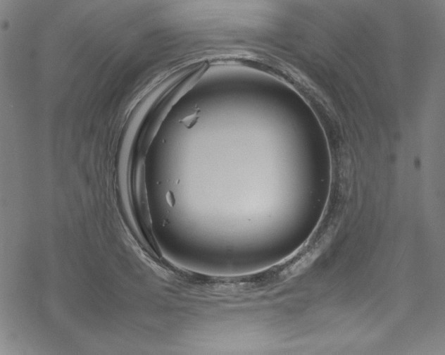 X0000070190985200606021053