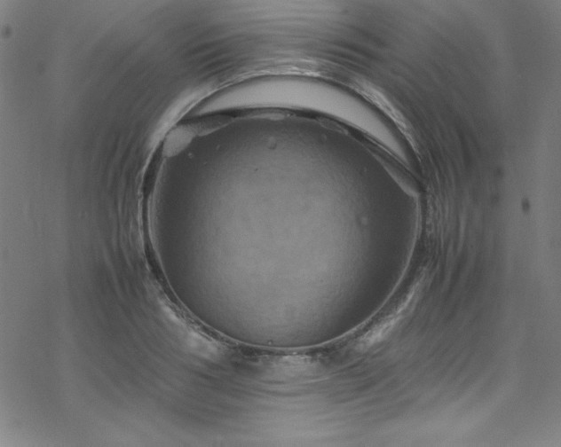 X0000070190986200606021053