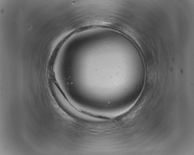 X0000070190987200606021053