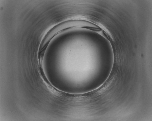 X0000070190988200606021053