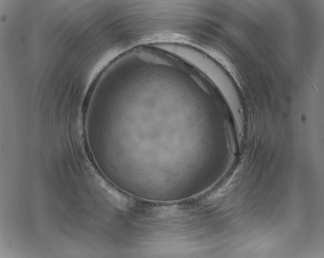 X0000070190990200606021053