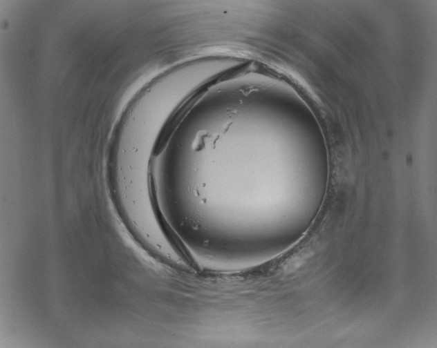 X0000070190991200606021053