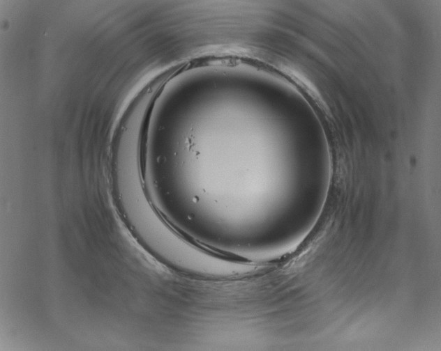 X0000070190992200606021053