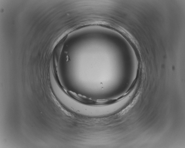 X0000070190993200606021053