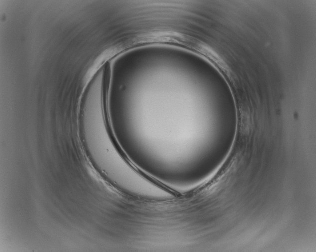 X0000070190994200606021053