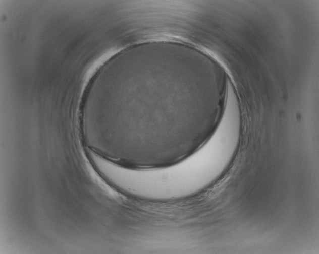 X0000070190995200606021053