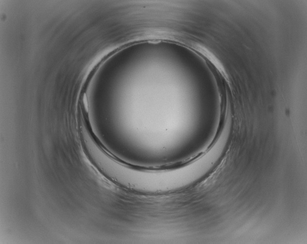 X0000070190996200606021053