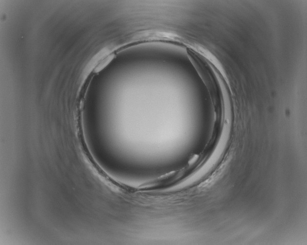 X0000070190997200606021053