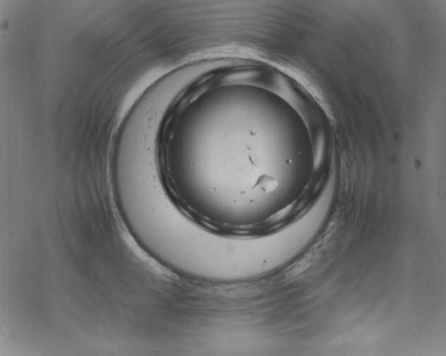 X0000070190998200606021053