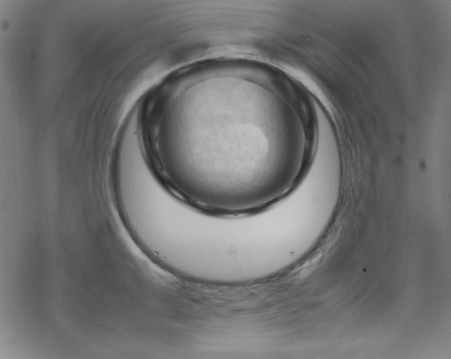 X0000070190999200606021053