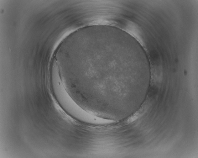 X0000070191000200606021053