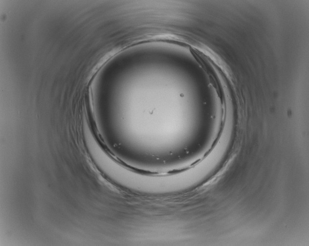 X0000070191001200606021053