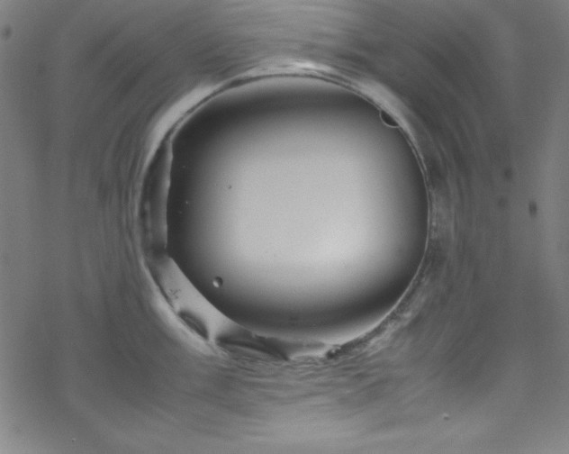 X0000070191003200606021052